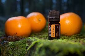 Ulei esential doTERRA Wild Orange (Portocala salbatica) 5ml