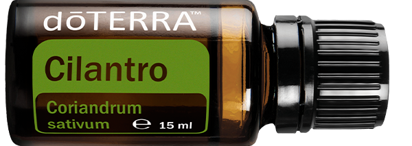 Essential oil doTERRA Cilantro (Coriandru) 15ml